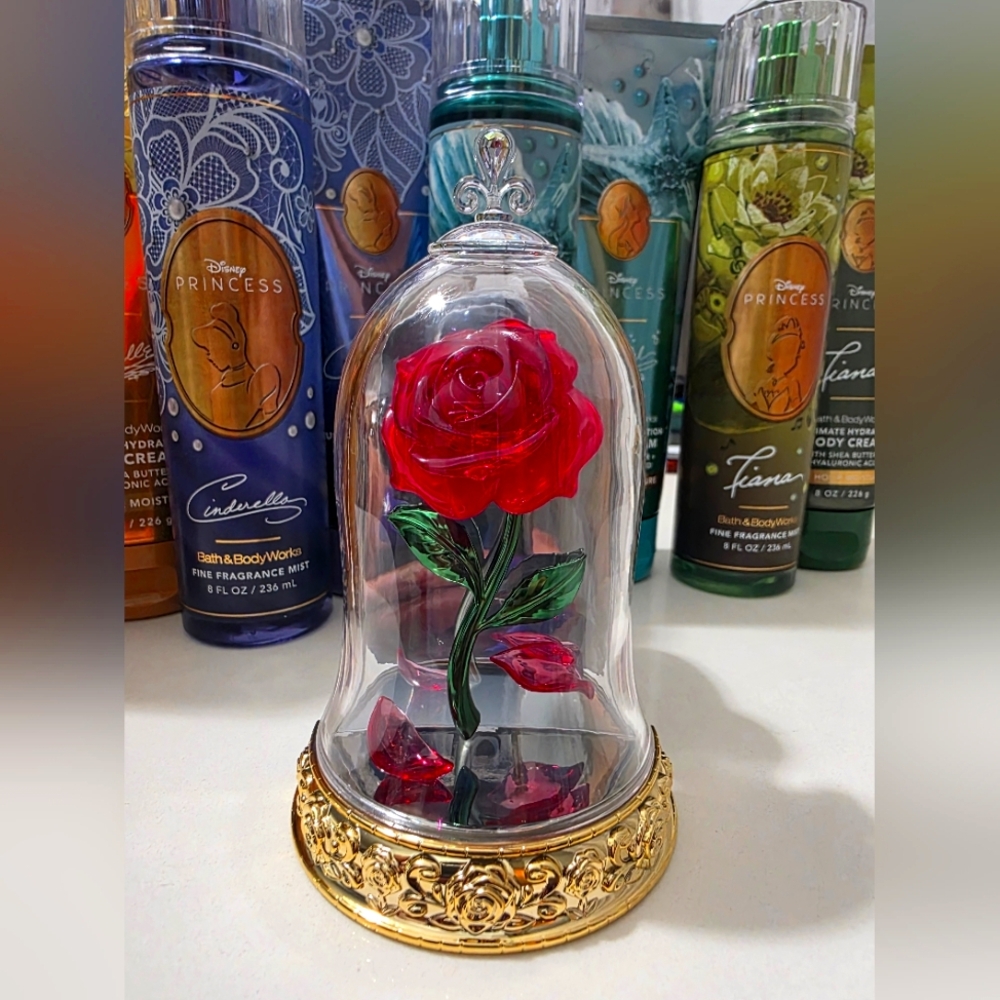 BBW Belle wallflower plug